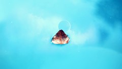 Leaves Stars blue planets