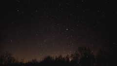 Leaves Stars skies night sky galaxies Starry Horizon trial