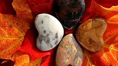 Leaves stones Hearts