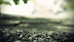 Leaves stones nature gravel tilt-shift