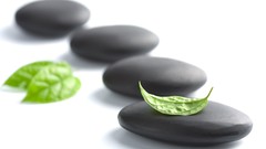 Leaves stones Sports relaxation