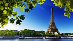 Leaves summer Eiffel Tower Paris cities