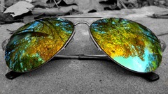 Leaves sunglasses selective coloring