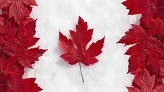 Leaves Symbols Canada Canadian flag
