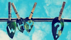 Leaves text Green abstract why?