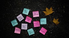 Leaves text notes Quotes post it note