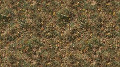 Leaves Textures fallen leaves