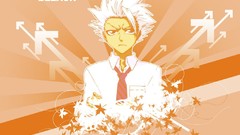 Leaves tie white hair arrows bleach Hitsugaya Toshiro