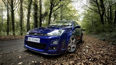 Leaves Trees cars Ford