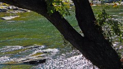 Leaves Trees Mountains autumn rivers