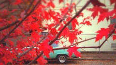 Leaves trucks