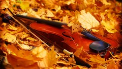 Leaves violins fallen leaves