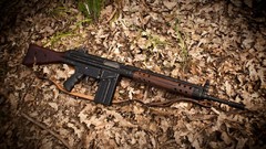 Leaves weapons Guns military Wood German firearms Rifles 