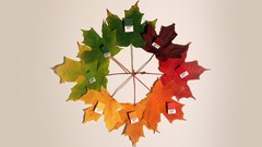 Leaves white background colors