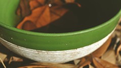 Leaves white Green close-up bowl