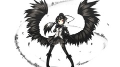 Leaves wings feathers white background hats red eyes gloves 