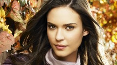 Leaves woman faces brunettes odette annable
