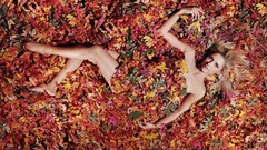 Leaves woman Sarah Michelle Gellar blondes