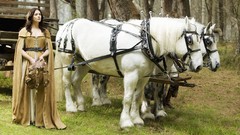 Legend of the Seeker Bridget Regan Kahlan Amnell