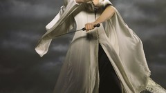 Legend of the Seeker Bridget Regan Kahlan Amnell