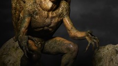 Legend of the Seeker gar