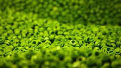 Lego Green macro Toys
