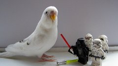 Legos star wars stormtroopers