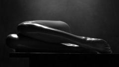 Legs female body professional