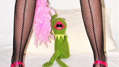 Legs high heels fishnet