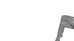 Legs Simple Background white