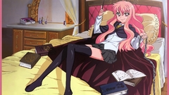 Legs stockings zero no