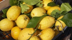 Lemons fruits