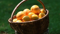 Lemons fruits baskets