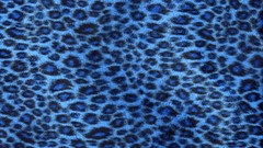 Leopard print
