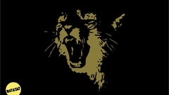 Leopards black background