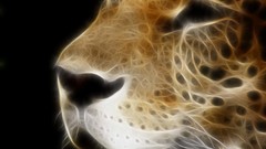 Leopards Fractalius