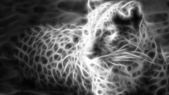 Leopards Fractalius grayscale