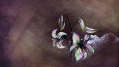 Let get some Flowers