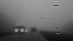 Let have grey themed