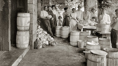 Liberty cabbage high