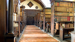 Library Books interior