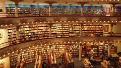 Library Books interior room