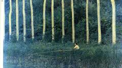 Library of World photography