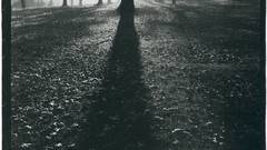 Library of World photography