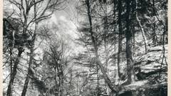 Library of World photography