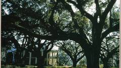 Library of World photography