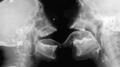 Lick high Resolution delvoye