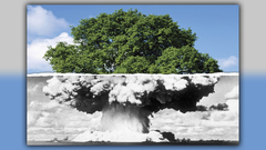 Life boom was goes since ver figured