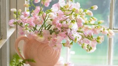 Lifestyle complex magazine