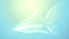 Light abstract fish spirit